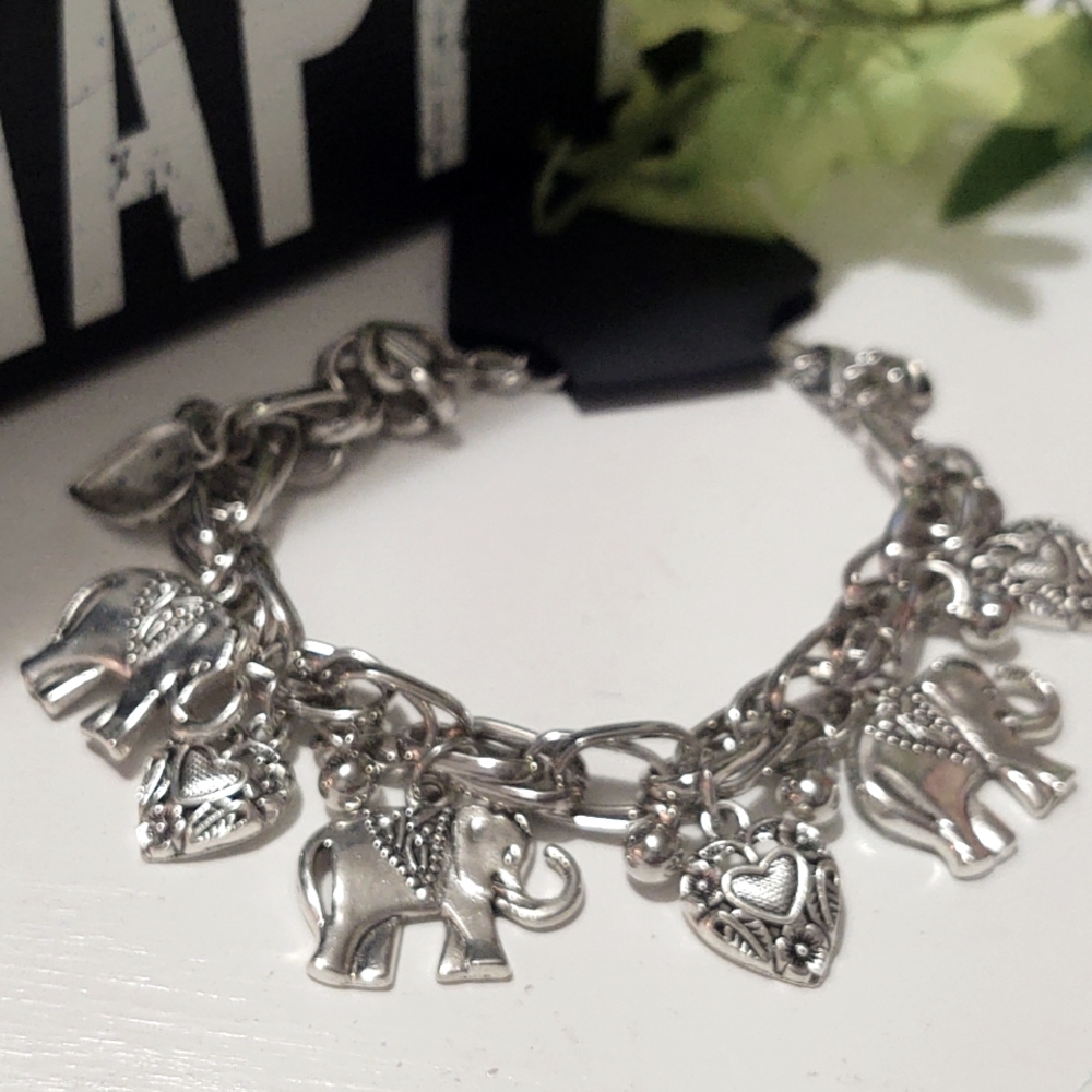 Anklet/Bracelet